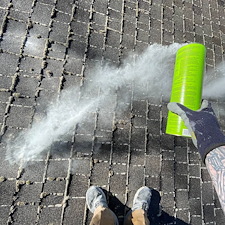 Moss-Removal-in-Pullman-WA 0